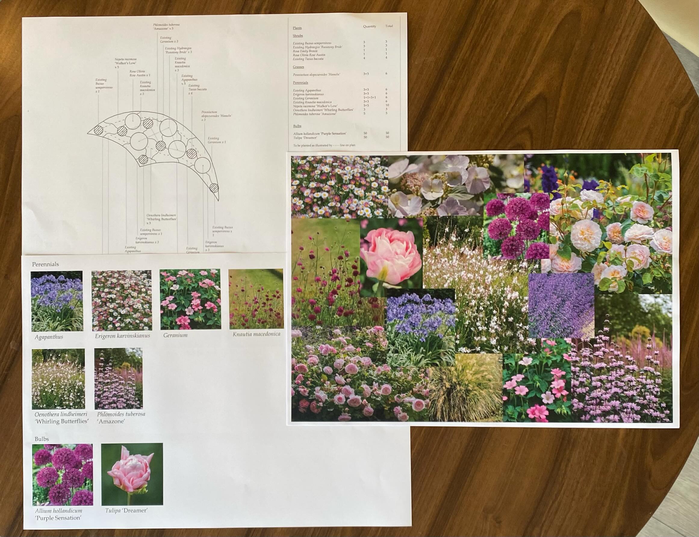Garden Design - Crescent Border