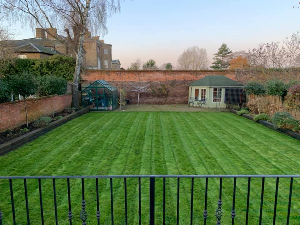 Garden Management - Lawns